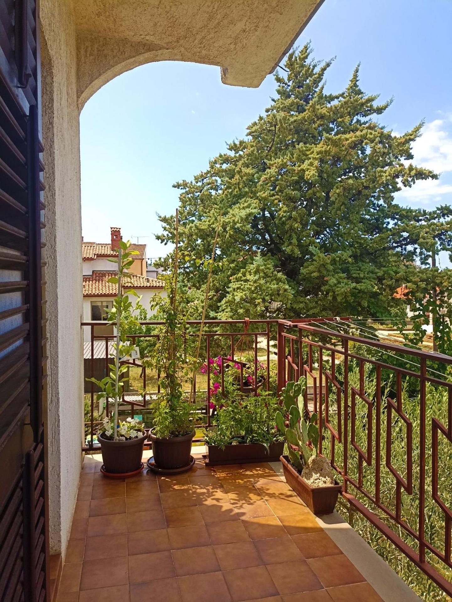Apartments Villa Laura 普拉 外观 照片