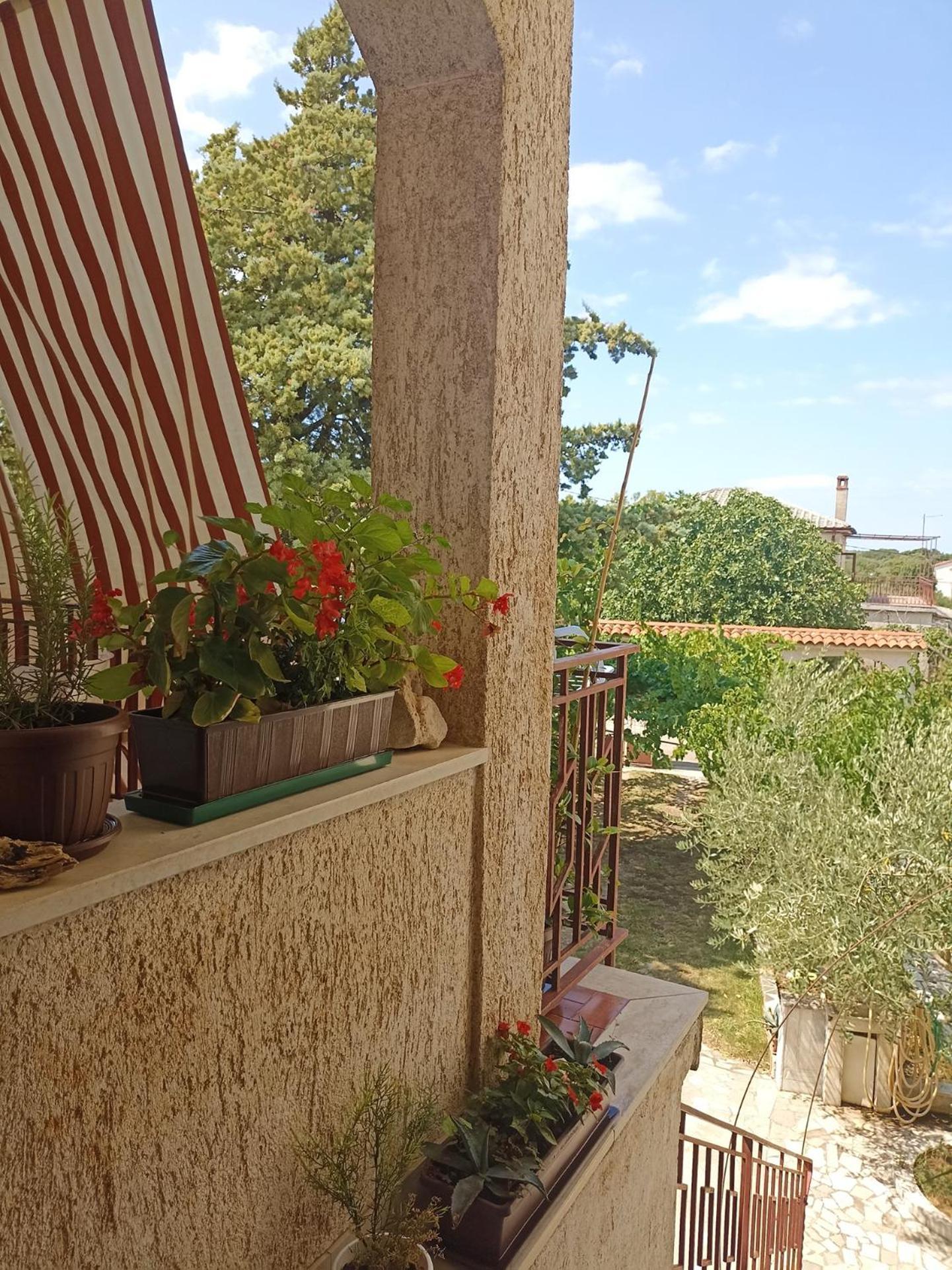 Apartments Villa Laura 普拉 外观 照片