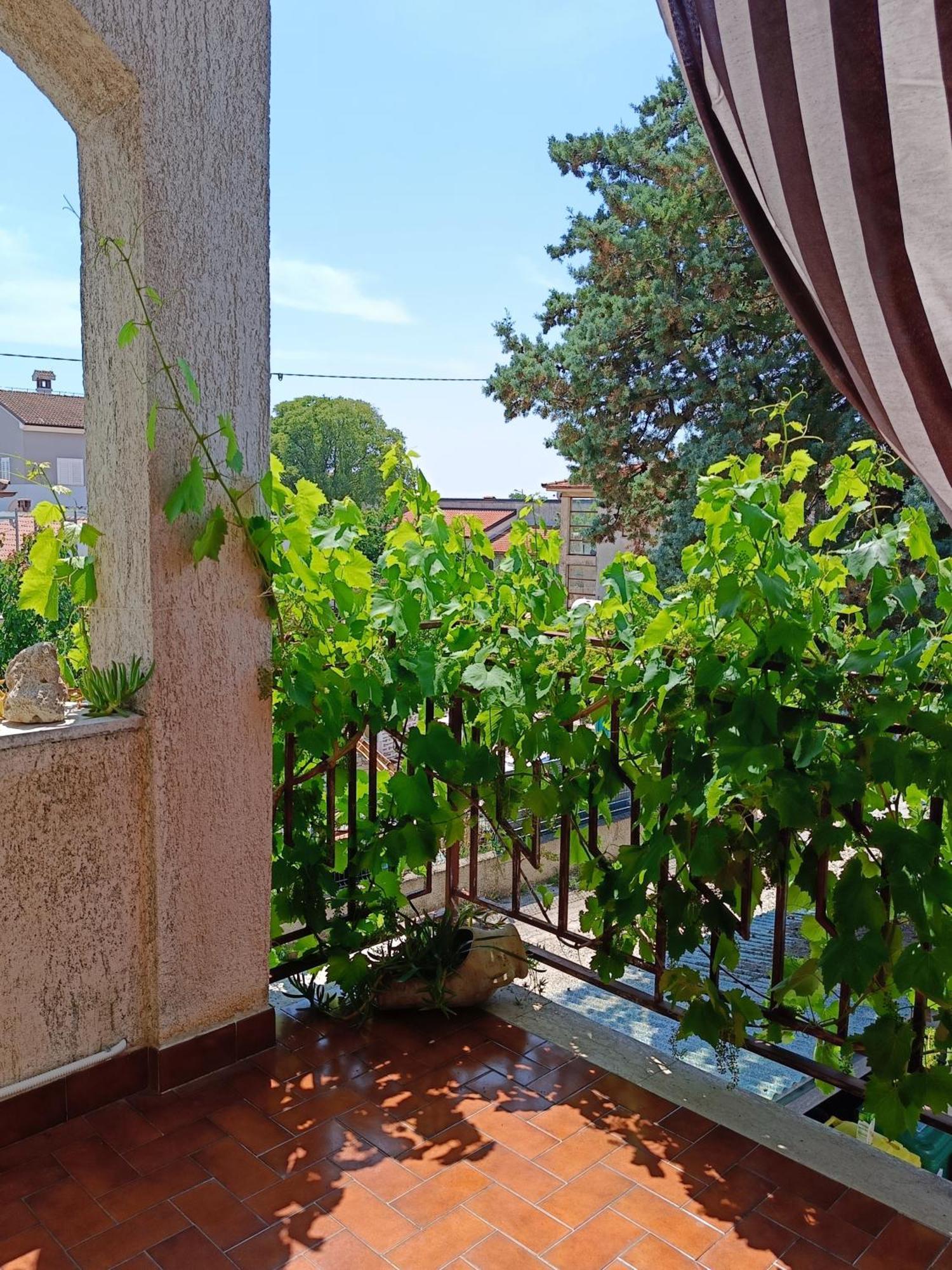 Apartments Villa Laura 普拉 外观 照片