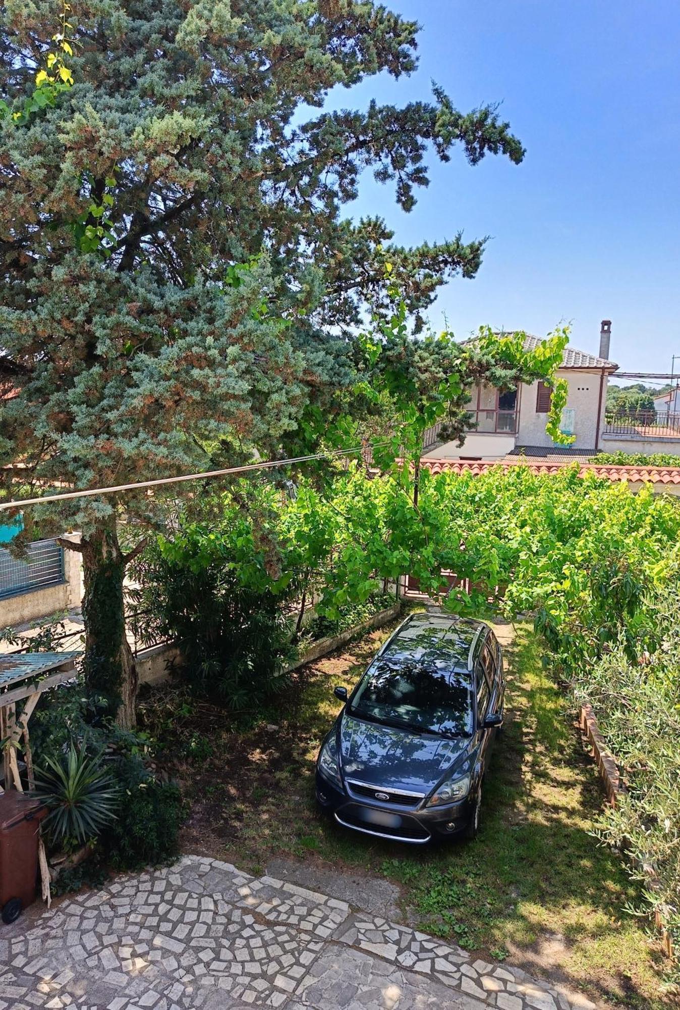 Apartments Villa Laura 普拉 外观 照片