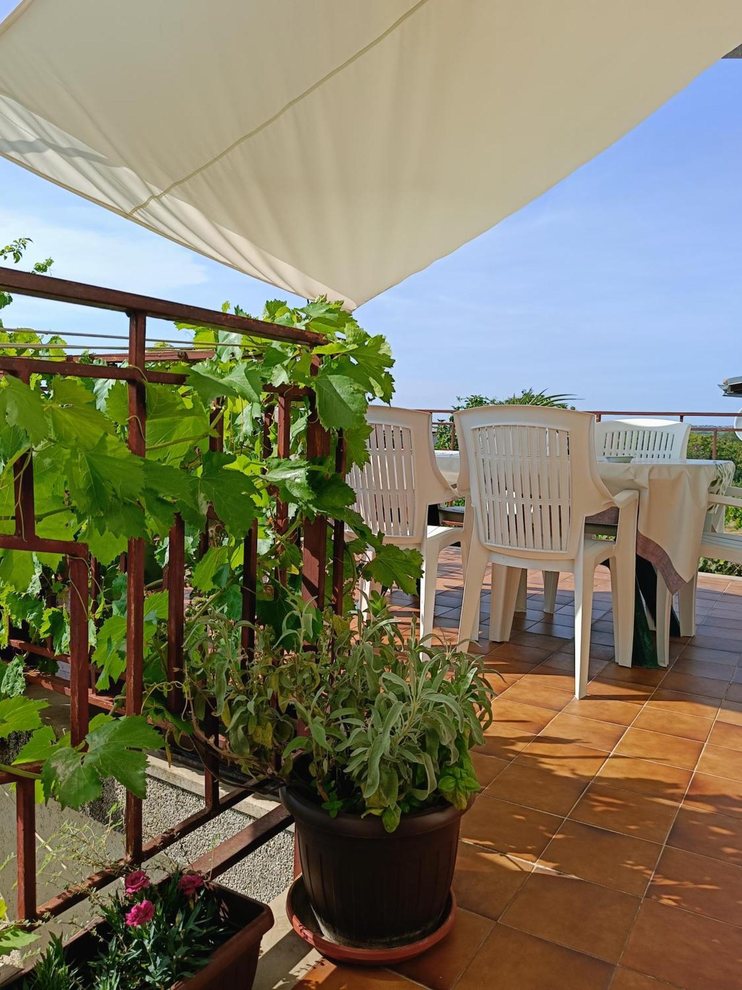 Apartments Villa Laura 普拉 外观 照片