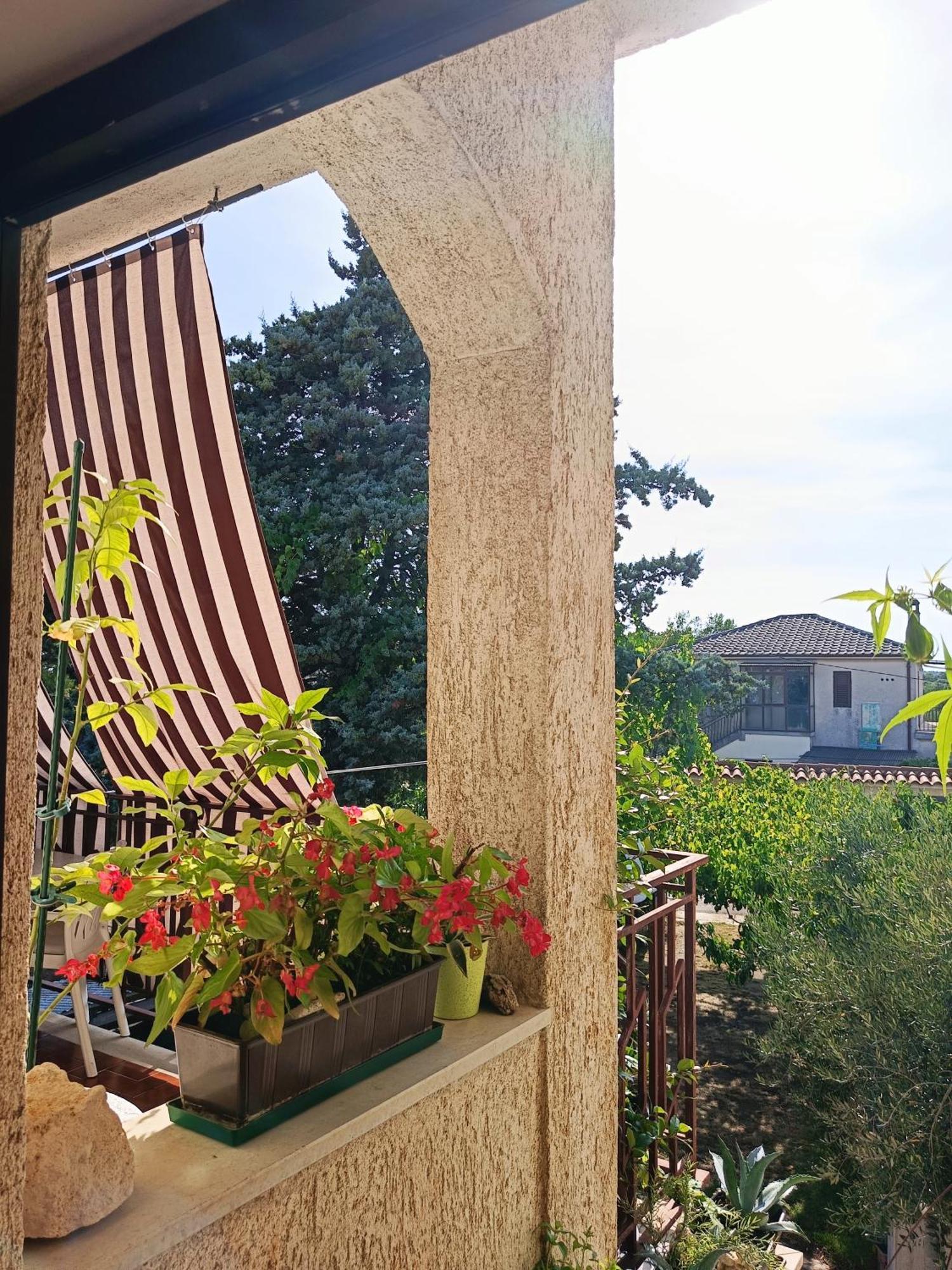 Apartments Villa Laura 普拉 外观 照片